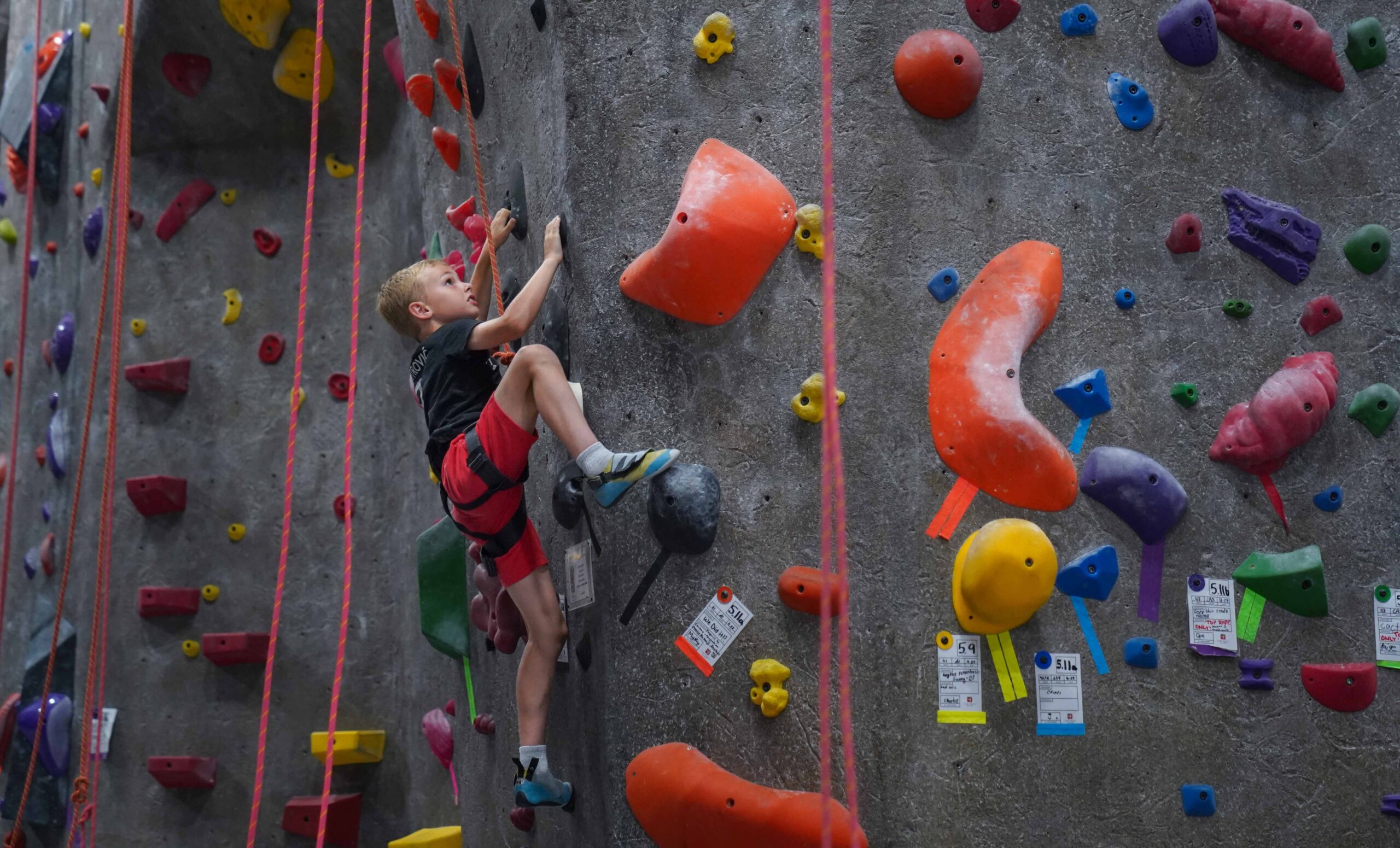 the rock club, rock climbing, new rochelle, westchester, new york, bouldering