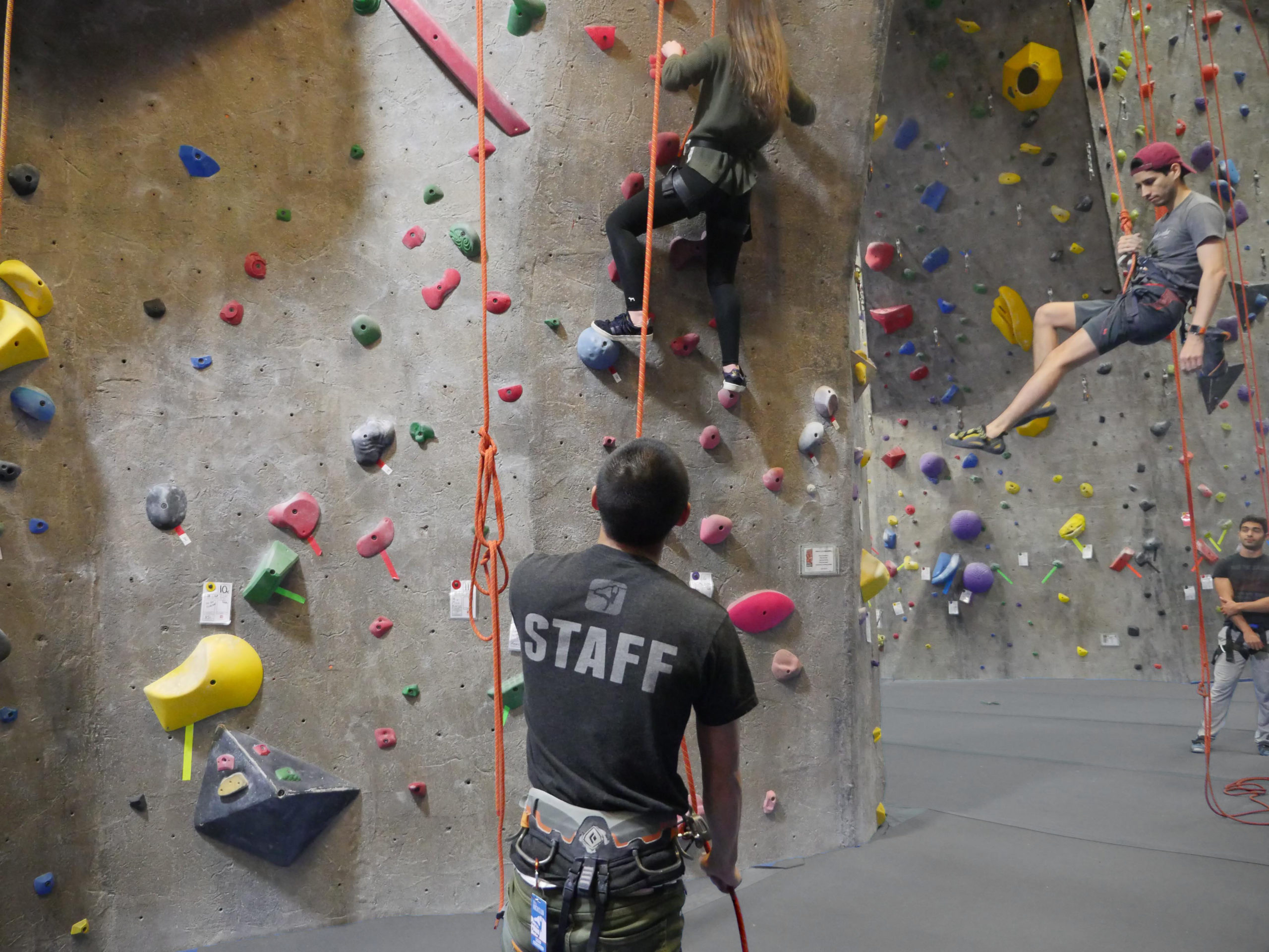 the rock club, rock climbing, new rochelle, westchester, new york, bouldering, belay