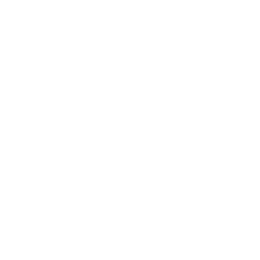 google-icon white